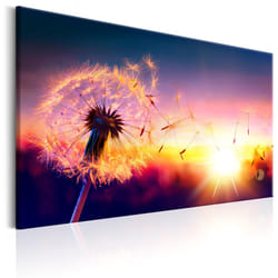 Planete Discount PD11309-90-60 tableau