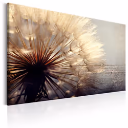 Planete Discount PD11310-120-80, Fleurs variées, Beige, Marron, Gris, Panneaux MDF, 1200 mm, 20 mm, 800 mm