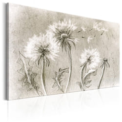 Tableau Fleurs Dandelions (Pencil Artwork) - PD11313-120-80