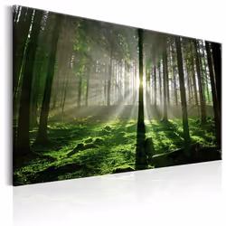 Planete Discount PD10102-90-60, Forêt, Vert, Gris, Jaune, Panneaux MDF, 900 mm, 20 mm, 600 mm