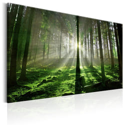 Planete Discount PD10102-90-60 tableau