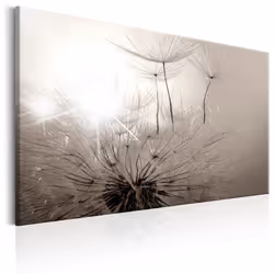 Planete Discount PD11320-90-60, Fleurs variées, Noir, Blanc, Panneaux MDF, 900 mm, 20 mm, 600 mm