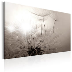 Tableau Fleurs Beautiful Summer: Dandelions - PD11320-120-80