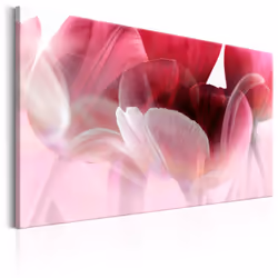 Planete Discount PD11326-120-80, Tulipes, Rouge, Rose, Panneaux MDF, 1200 mm, 20 mm, 800 mm