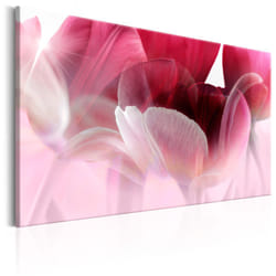 Tableau Fleurs Nature: Pink Tulips - PD11326-120-80