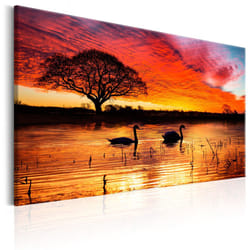 Planete Discount PD10117-90-60 tableau