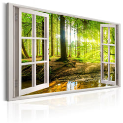 Tableau Window: View on Forest - PD10118-120-80