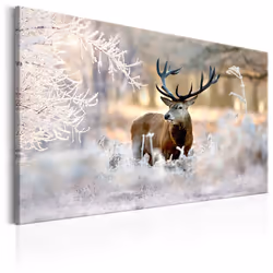 Planete Discount PD8389-120-80, Animaux divers, Beige, Bleu, Gris, Blanc, Panneaux MDF, 1200 mm, 20 mm, 800 mm