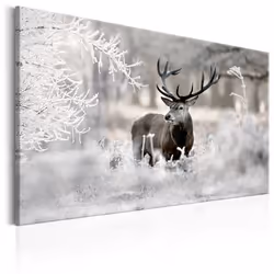 Planete Discount PD8390-120-80, Animaux divers, Beige, Marron, Gris, Blanc, Panneaux MDF, 1200 mm, 20 mm, 800 mm