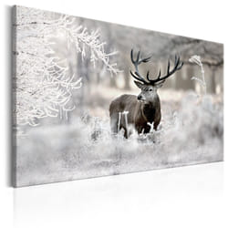 Tableau Lonely Deer - PD8390-120-80