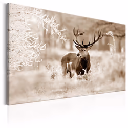 Planete Discount PD8391-120-80, Animaux divers, Beige, Marron, Blanc, Panneaux MDF, 1200 mm, 20 mm, 800 mm