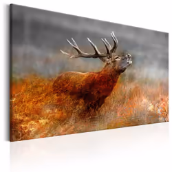 Planete Discount PD8393-120-80