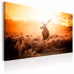 Planete Discount PD8395-120-80, Animaux divers, Beige, Orange, Panneaux MDF, 1200 mm, 20 mm, 800 mm