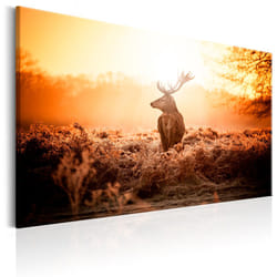 Tableau Deer in the Sun - PD8395-120-80