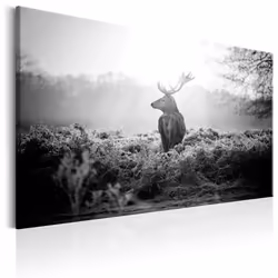 Planete Discount PD8396-120-80, Animaux divers, Noir, Blanc, Panneaux MDF, 1200 mm, 20 mm, 800 mm