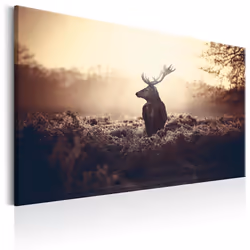 Planete Discount PD8397-120-80, Animaux divers, Beige, Noir, Marron, Panneaux MDF, 1200 mm, 20 mm, 800 mm
