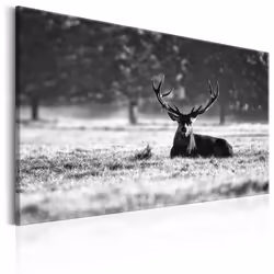 Planete Discount PD8401-120-80, Animaux divers, Noir, Blanc, Panneaux MDF, 1200 mm, 20 mm, 800 mm