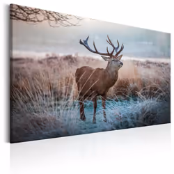 Planete Discount PD8407-120-80, Animaux divers, Beige, Marron, Vert, Gris, Panneaux MDF, 1200 mm, 20 mm, 800 mm