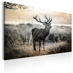 Tableau Dangerous Horns - PD8408-120-80
