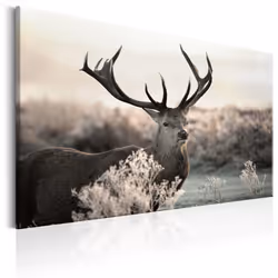 Planete Discount PD8409-120-80, Animaux divers, Beige, Gris, Panneaux MDF, 1200 mm, 20 mm, 800 mm