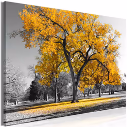Planete Discount PD10125-120-80