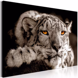 Planete Discount PD8414-120-80