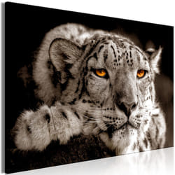 Tableau Magic Eyes 1 Pièce Wide - PD8414-120-80