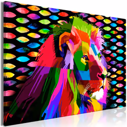Planete Discount PD8415-120-80
