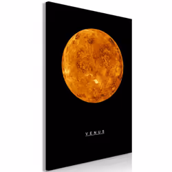 Planete Discount PD9203-60-90, Noir, Orange, Panneaux MDF, 600 mm, 20 mm, 900 mm