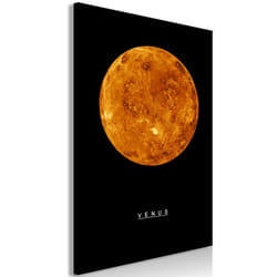 Tableau Venus (1 Part) Vertical - PD9203-60-90