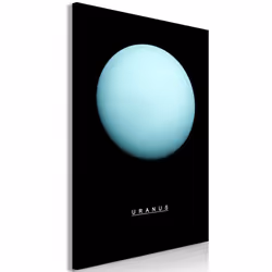 Planete Discount PD9208-60-90, Noir, Bleu, Blanc, Panneaux MDF, 600 mm, 20 mm, 900 mm