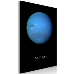 Tableau Neptune (1 Part) Vertical - PD9209-60-90