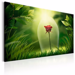 Planete Discount PD11330-120-80, Roses, Vert, Rouge, Jaune, Panneaux MDF, 1200 mm, 20 mm, 800 mm
