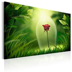 Tableau Fleurs Magical Rose - PD11330-120-80