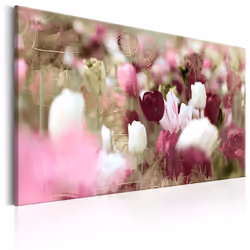Planete Discount PD11336-60-40