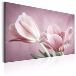 Planete Discount PD11337-120-80