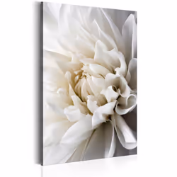 Planete Discount PD11341-80-120