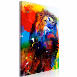 Planete Discount PD8447-80-120