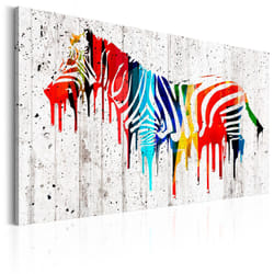 Tableau Zèbre colorée - PD8451-120-80