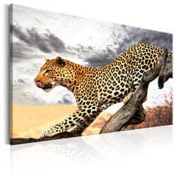 Tableau Predatory Stare - PD8455-120-80