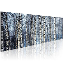 Tableau Bouleaux blancs - PD10154-135-45