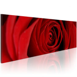 Tableau Fleurs Rose du Nord - PD11343-135-45