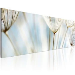 Tableau Fleurs Ephemeral moments - PD11344-135-45