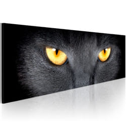Tableau Look into my eyes... - PD8480-135-45