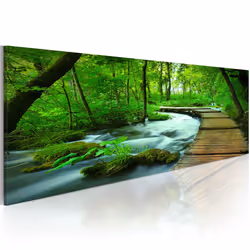 Planete Discount PD10161-120-40