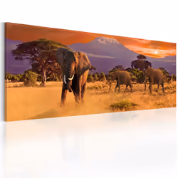 Planete Discount PD12007-135-45, Animaux, Beige, Marron, Gris, Orange, Panneaux MDF, 1350 mm, 20 mm, 450 mm