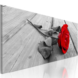 Planete Discount PD11346-120-40 tableau