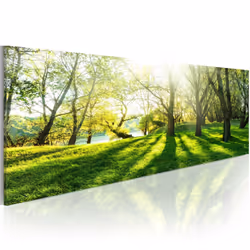 Planete Discount PD10162-135-45, Forêt, Marron, Vert, Blanc, Jaune, Panneaux MDF, 1350 mm, 20 mm, 450 mm