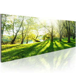 Tableau Rayons de soleil - PD10162-135-45