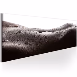 Planete Discount PD11952-120-40